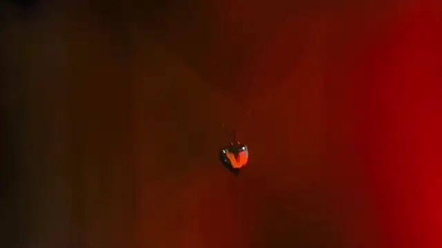 Youlittlepervertt  online show from 1, 3, 2026