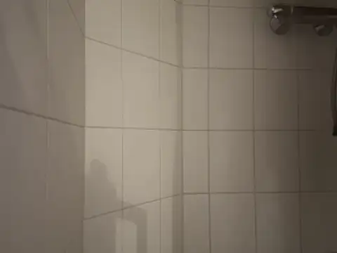 dennisnl93 online show from 16, 2, 2026