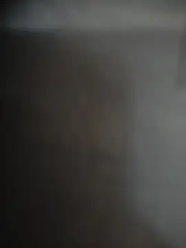 Snapshot of Nirvana-- chatting on 13, 10, 2025 Nirvana-- online show from 13, 10, 2025