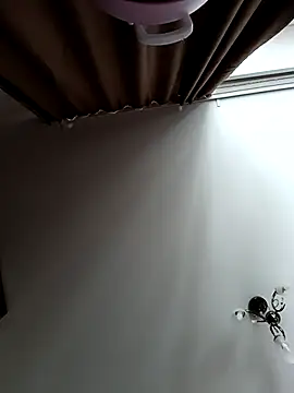 Lovers  Annn online show from 9, 3, 2026