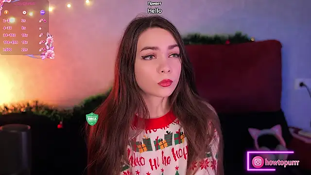 How2Meow online show from 2, 12, 2024