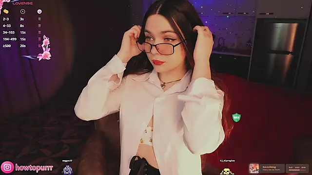 Snapshot of How2Meow chatting on 29, 4, 2026 How2Meow online show from 29, 4, 2026