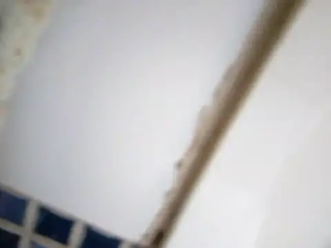 ValentinoRollstars online show from 25, 3, 2026