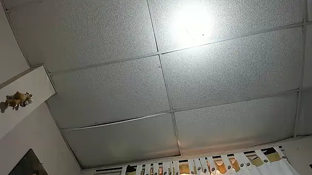 davidlatin66 online show from 12, 3, 2026