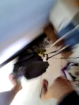 Knowing Volley online show from 25, 3, 2026