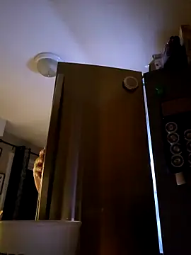 SexyNikki6969 online show from 16, 4, 2026