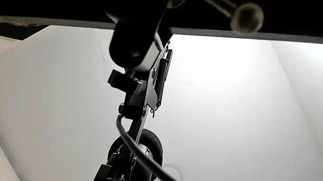 sarita loven online show from 19, 2, 2026