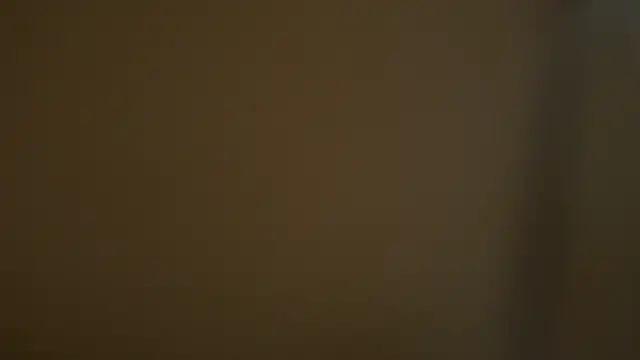 All yours555 online show from 1, 12, 2025