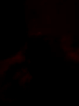 Tomtric online show from 10, 2, 2026