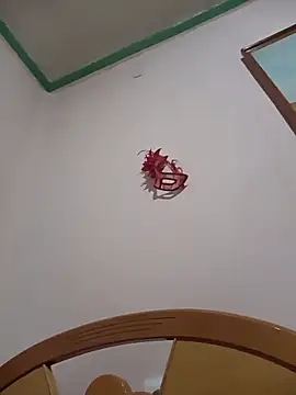 HAIRY PUSSY BIG online show from 11, 3, 2026