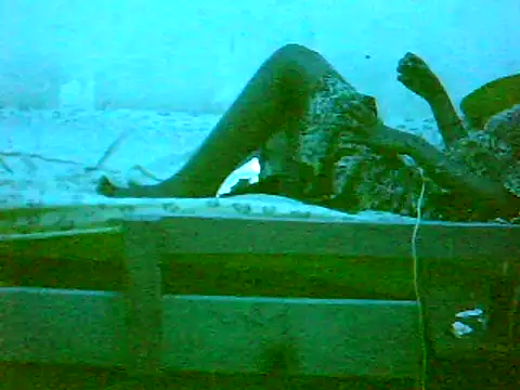 De maskedcouple online show from 11, 1, 2025