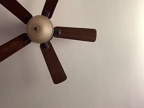 QueenNuttCollector online show from 29, 4, 2026