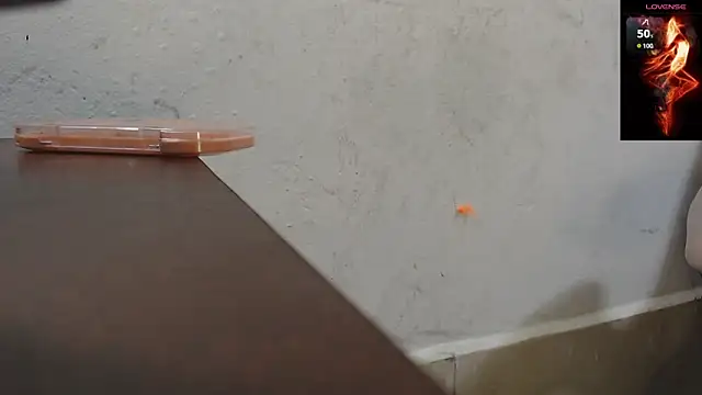 toxxxic cams online show from 22, 11, 2025