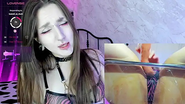 Pink diablo online show from 19, 3, 2025