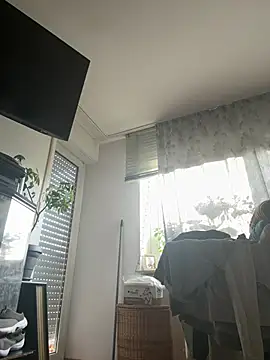 Toyjungee online show from 10, 4, 2026