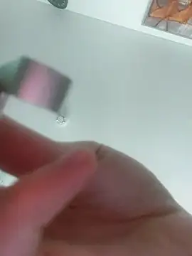 Toyjungee online show from 3, 4, 2026