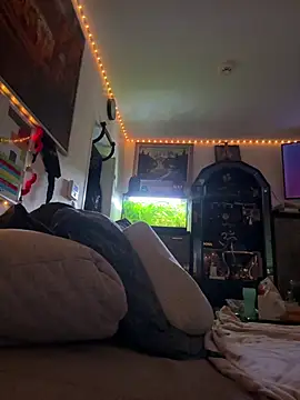 Toyjungee online show from 3, 2, 2026