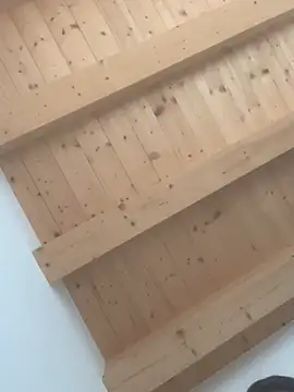 Fellix online show from 24, 2, 2025