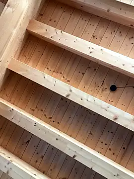 Fellix online show from 7, 1, 2026