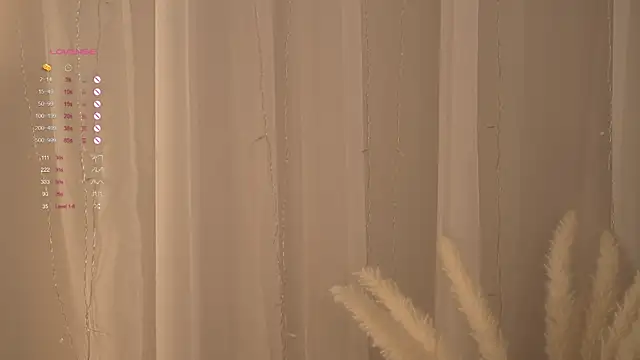 Poni DII online show from 17, 4, 2026