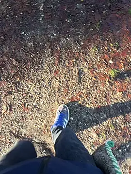 Mrbighardcock online show from 14, 1, 2026