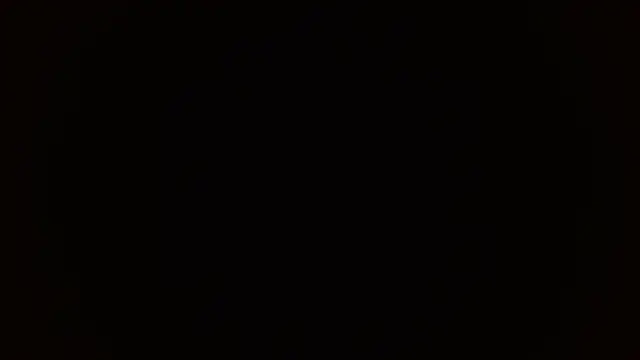 Dakota bumm online show from 3, 2, 2026