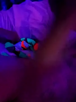 cammyquart online show from 2, 11, 2025