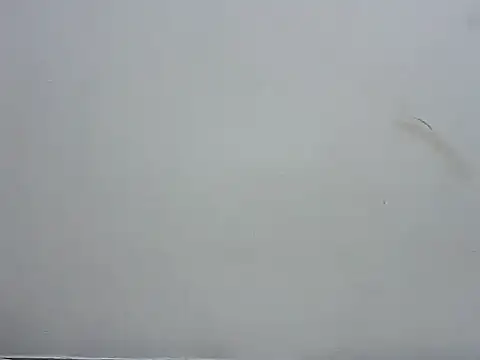 prettybeee online show from 4, 11, 2025