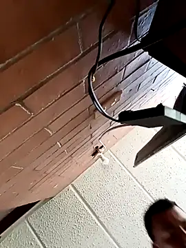 Diego leon27 online show from 12, 3, 2026