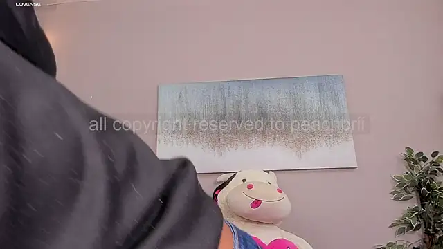 Snapshot of Briana_Wells_ chatting on 2, 12, 2025 Briana Wells online show from 2, 12, 2025