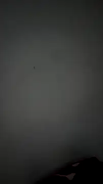 Briana Wells  online show from 14, 4, 2026