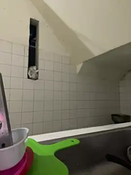 Leticia goddes online show from 10, 3, 2026