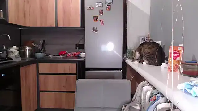 delightful sofi online show from 27, 3, 2026