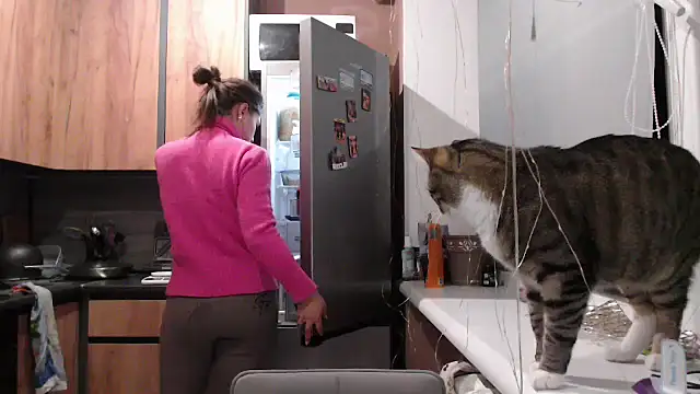 delightful sofi online show from 6, 1, 2026