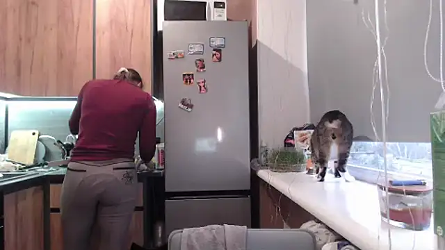 delightful sofi online show from 24, 3, 2026