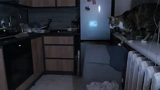 delightful sofi online show from 17, 3, 2026