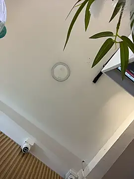 clarachanelricek online show from 9, 3, 2026