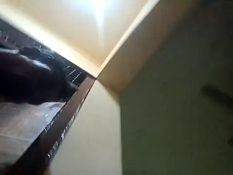 Lent Medium online show from 15, 10, 2025