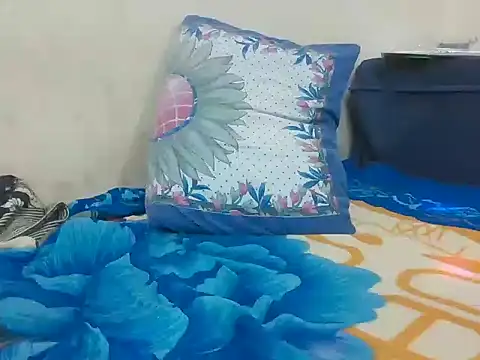 pritamkr69 online show from 1, 12, 2025