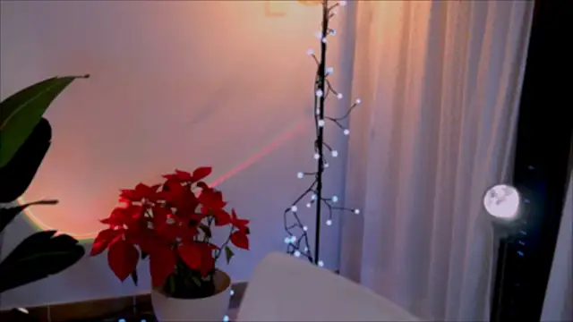 anabelcurvy online show from 2, 1, 2025