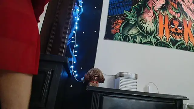 MINI Petite online show from 1, 6, 2026