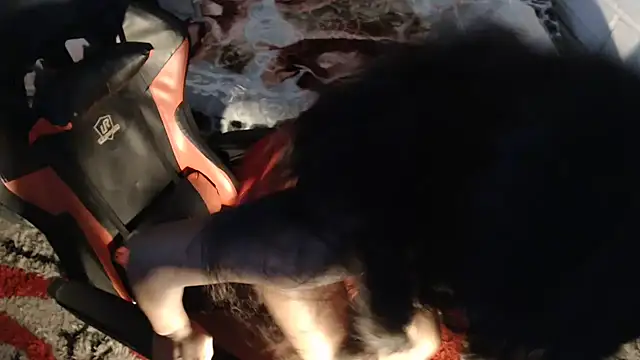 sexyjustin202 online show from 9, 9, 2025