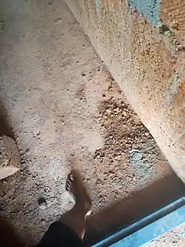 Mallupaiyanaachu online show from 3, 2, 2026