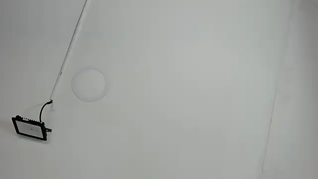 CeliWoods online show from 12, 10, 2025