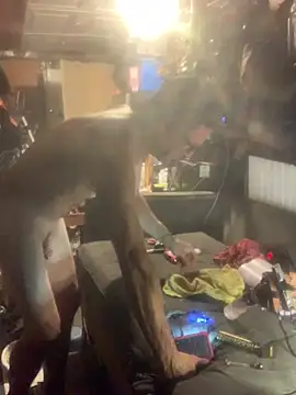 Likewise online show from 4, 2, 2026