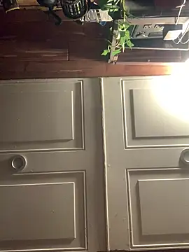 Likewise online show from 3, 2, 2026