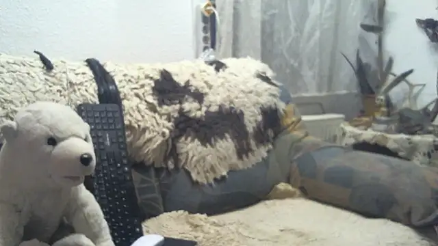 SexySantaC online show from 16, 12, 2025