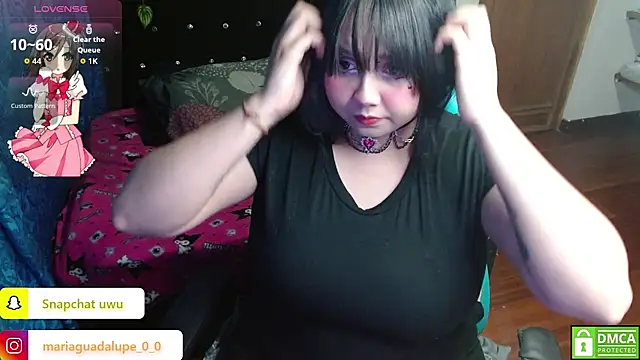 litlle cat online show from 29, 11, 2025