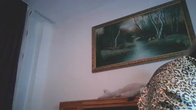 Snapshot of nicholle chatting on 30, 12, 2024 nicholle online show from 30, 12, 2024