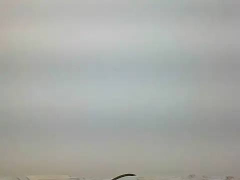 bigdickfuckuu online show from 22, 9, 2025